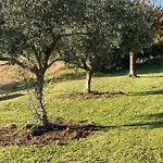 De Paul Alojamento de Acomodação e Pequeno-almoço 3*