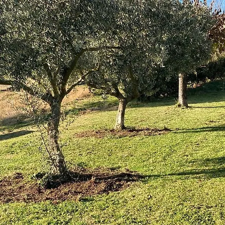 De Paul Couette-café 3*