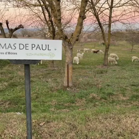 De Paul